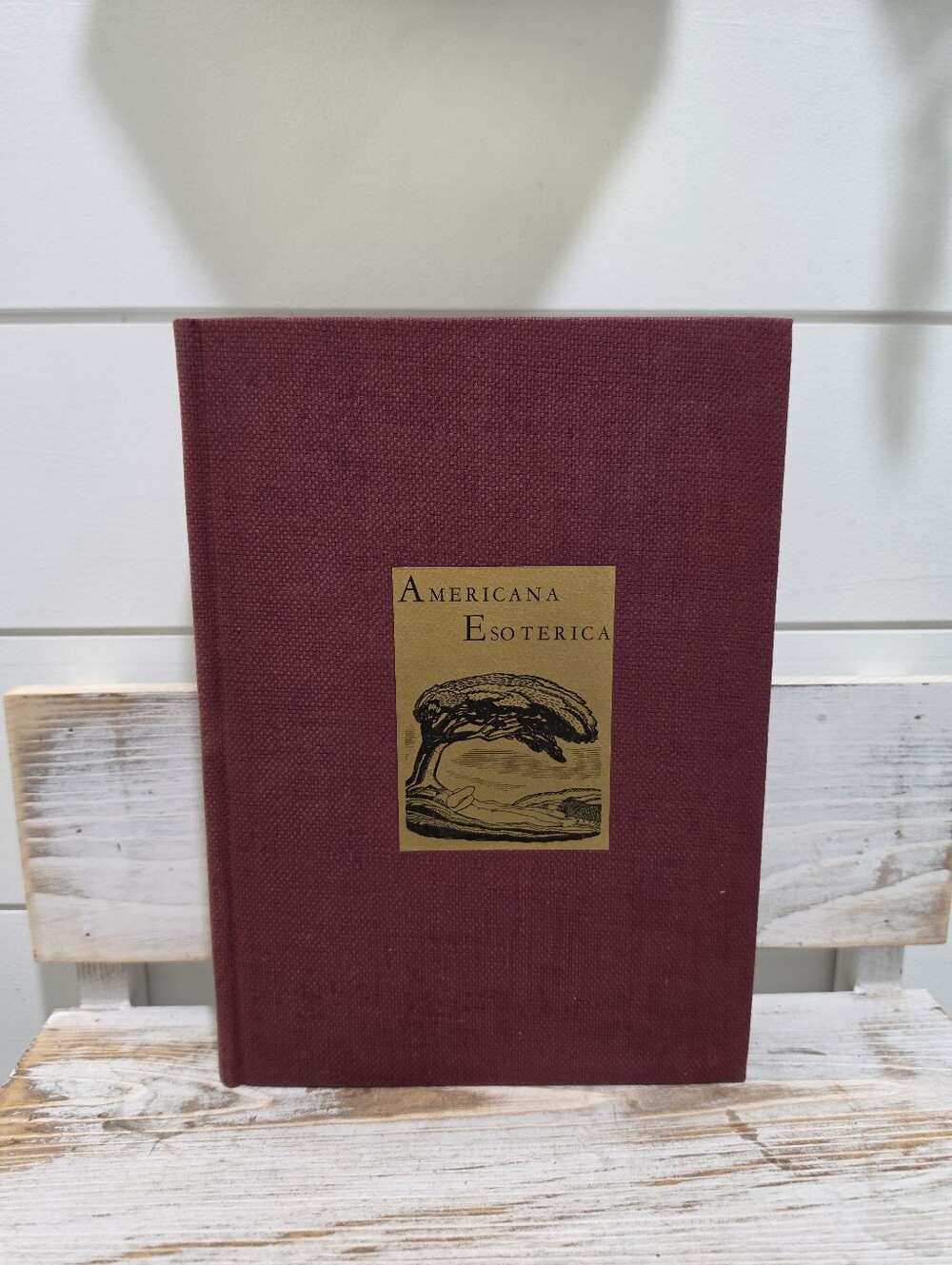 1927 1st Edition Limited Print Of Americana Esoterica